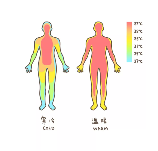 女生为啥比男生更怕冷？教你几招暖暖过冬！