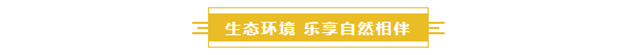 宽境生活|奢适166㎡，放慢你的生活舞步！