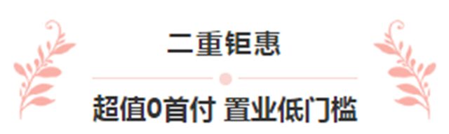 抢疯了！“清栋钜惠 特价抄底” 海盛·湖滨豪庭感恩购房季震撼来袭！