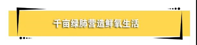 卓越地段，城央好房|中航·文峰上城二期清盘特惠，不容错过！