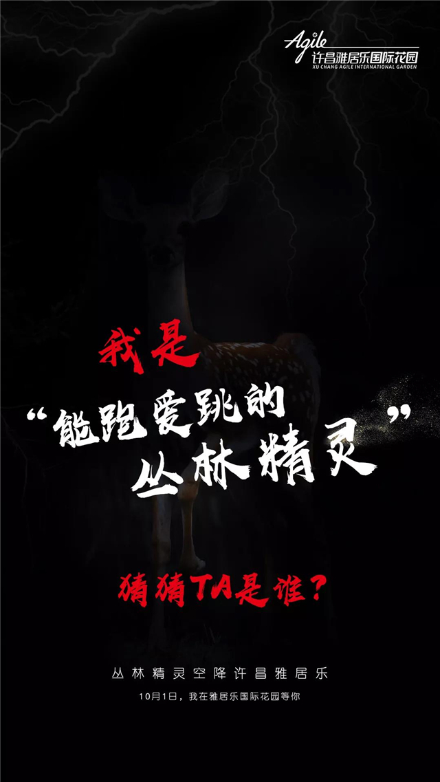 揭秘 | 许昌多了一个动物园？等你“嗨玩”十一黄金周！